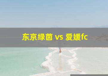 东京绿茵 vs 爱媛fc